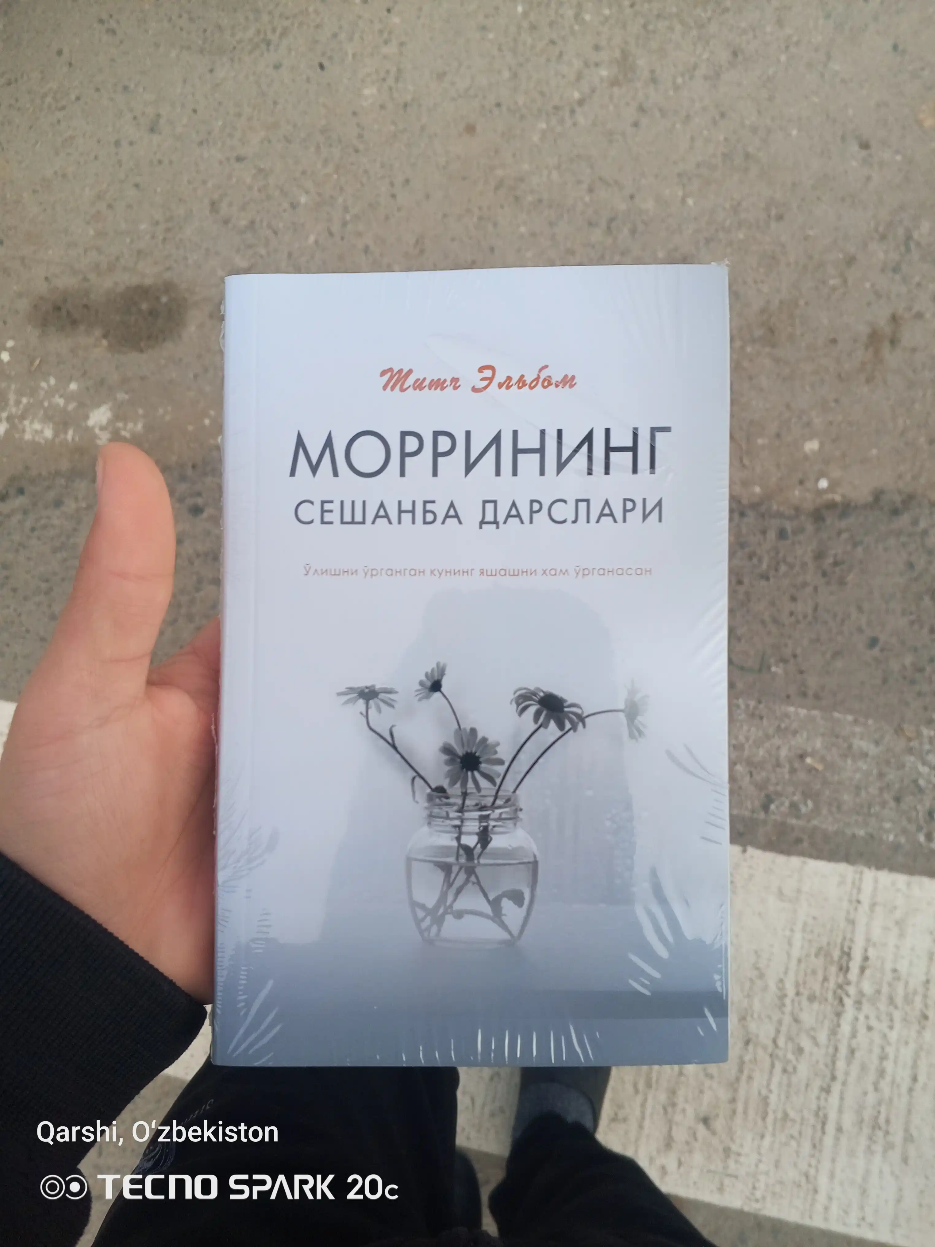 Мич Элбом, Mоррининг сешанба дарслари