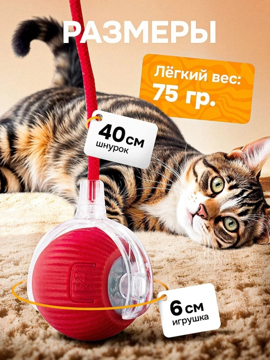 Hayvon o'yinchoqlari interaktiv aqlli to'p