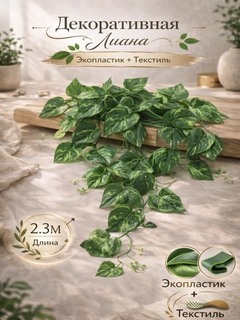Zaytun