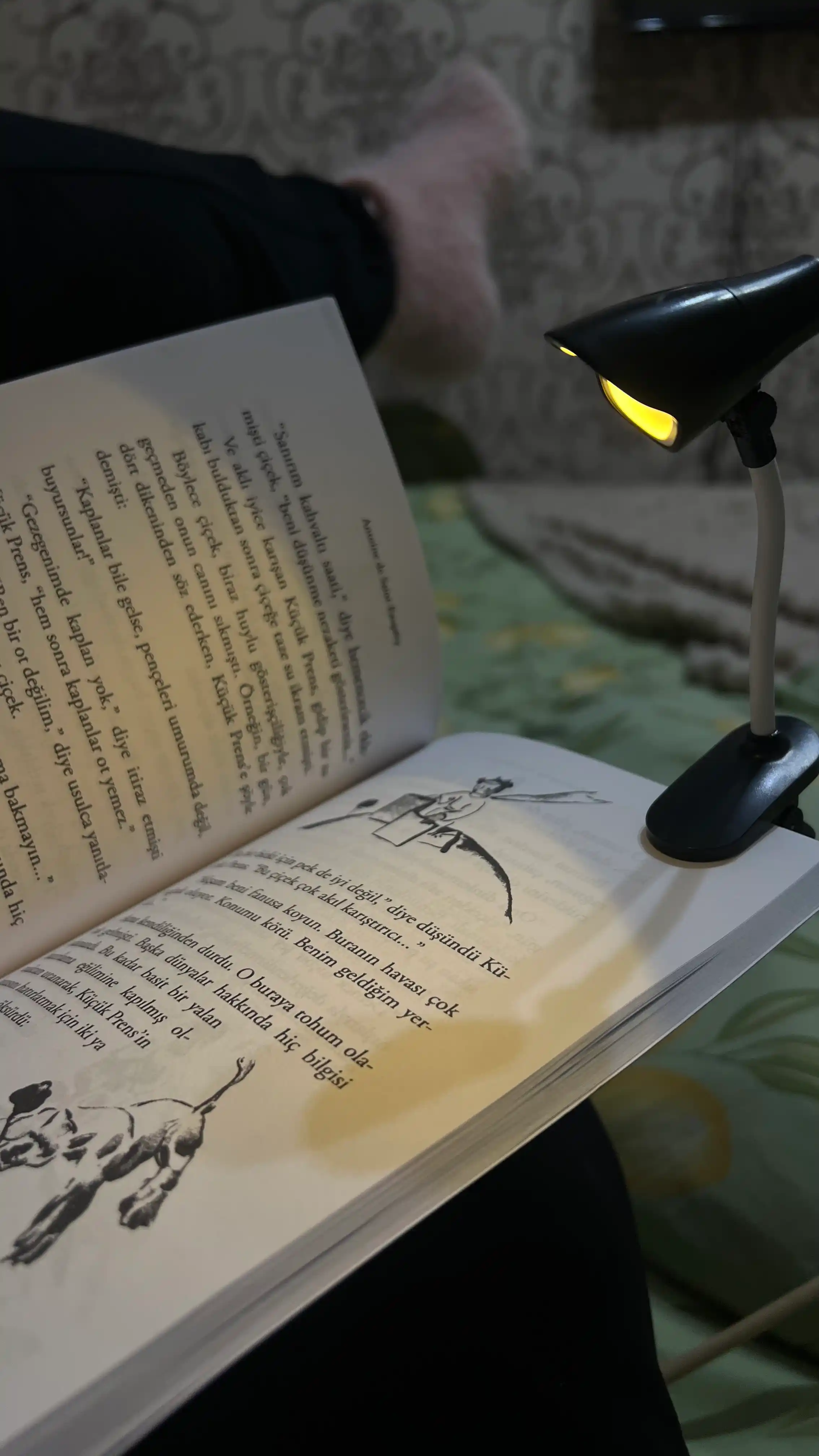 Кучук пренс, Антуан де Сент-Экзюпери