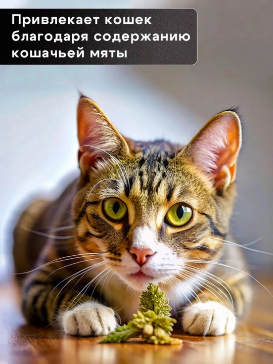 Чесалка - расческа для кошек с кошачьей мятой угловая