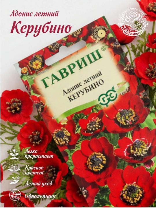 Семена Адонис Керубино, 0.1 г, Гавриш, цветочная коллекция