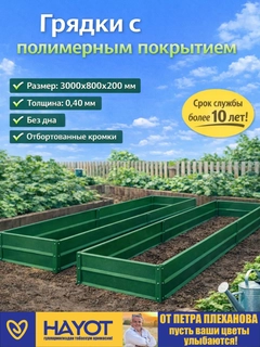Зеленый