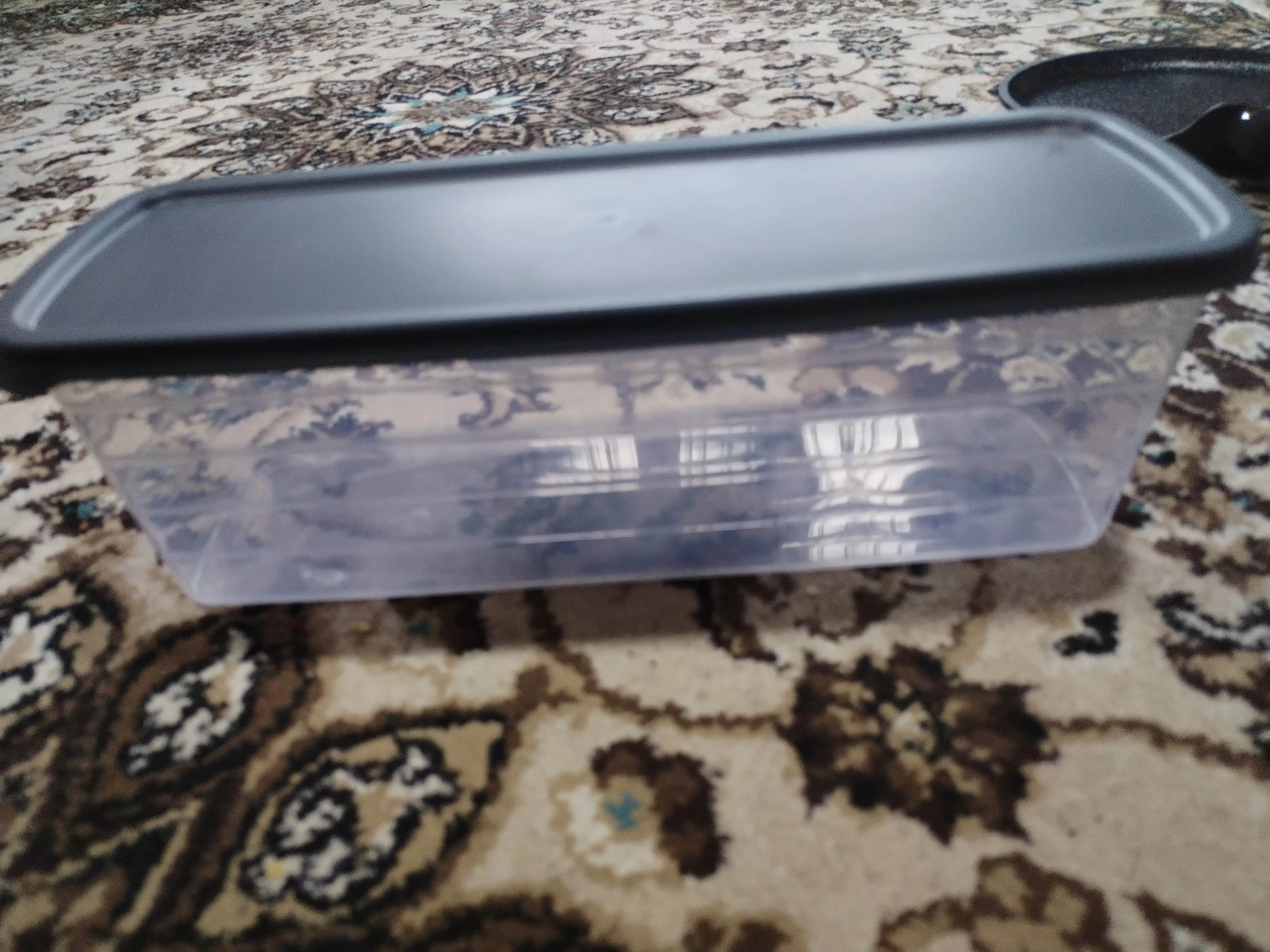 Ko‘kat va sabzavotlar uchun konteyner, uzaytirilgan chuqur idish, 2,6 l, 1,35 l