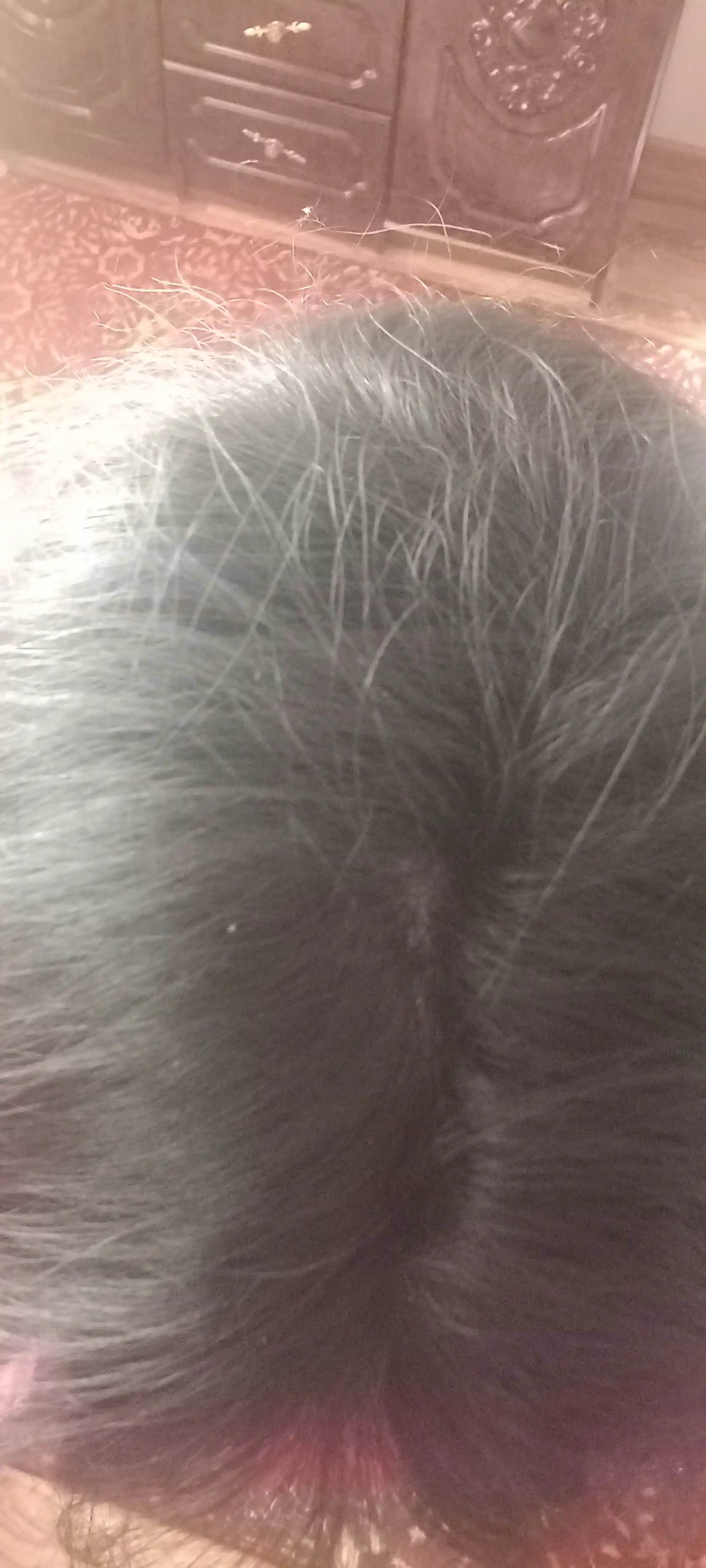 Пудра загуститель для волос Dexe Hair Building Fibers