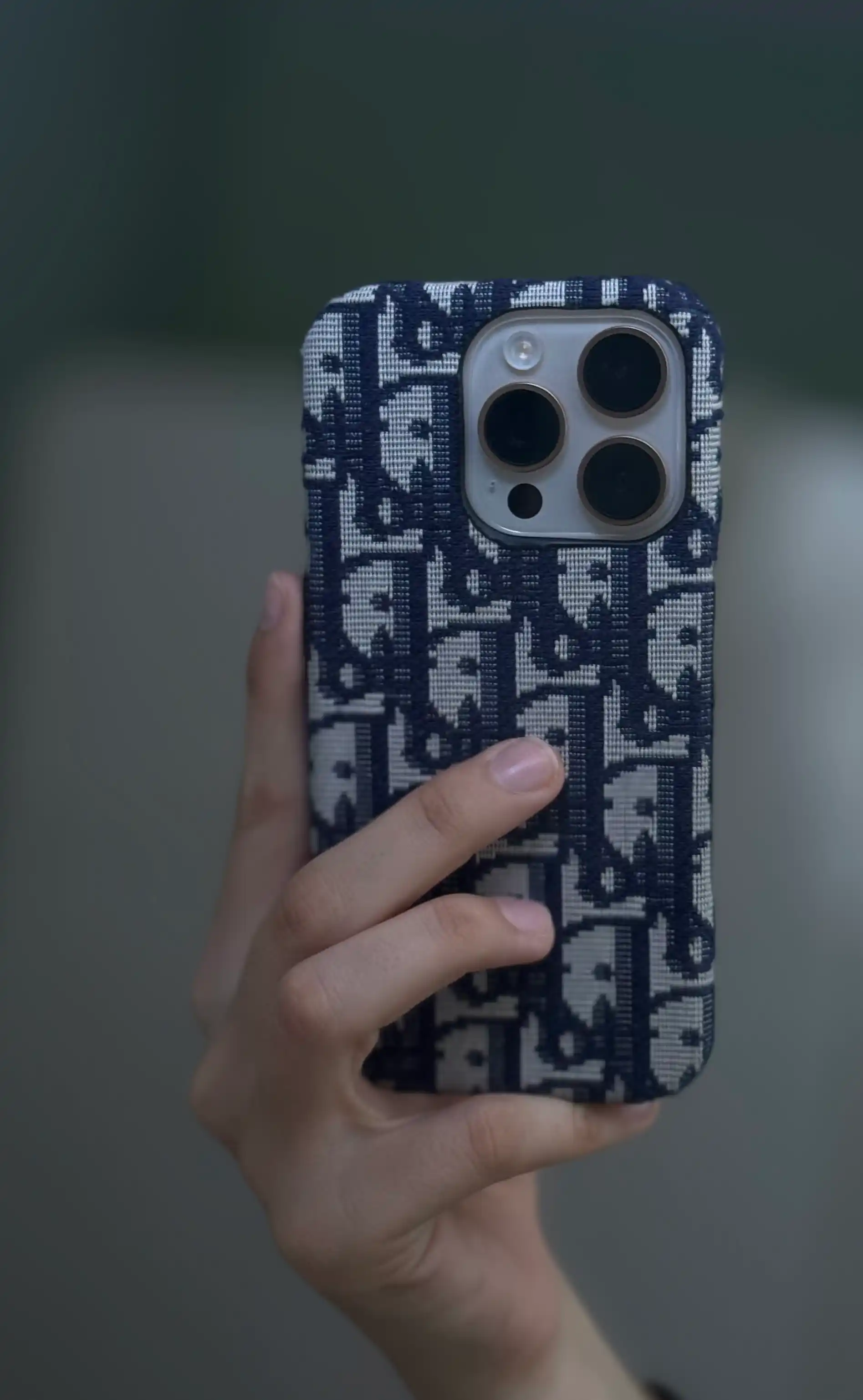 Чехол Dior на IPhone 15, 16, 17 Pro, ProMax