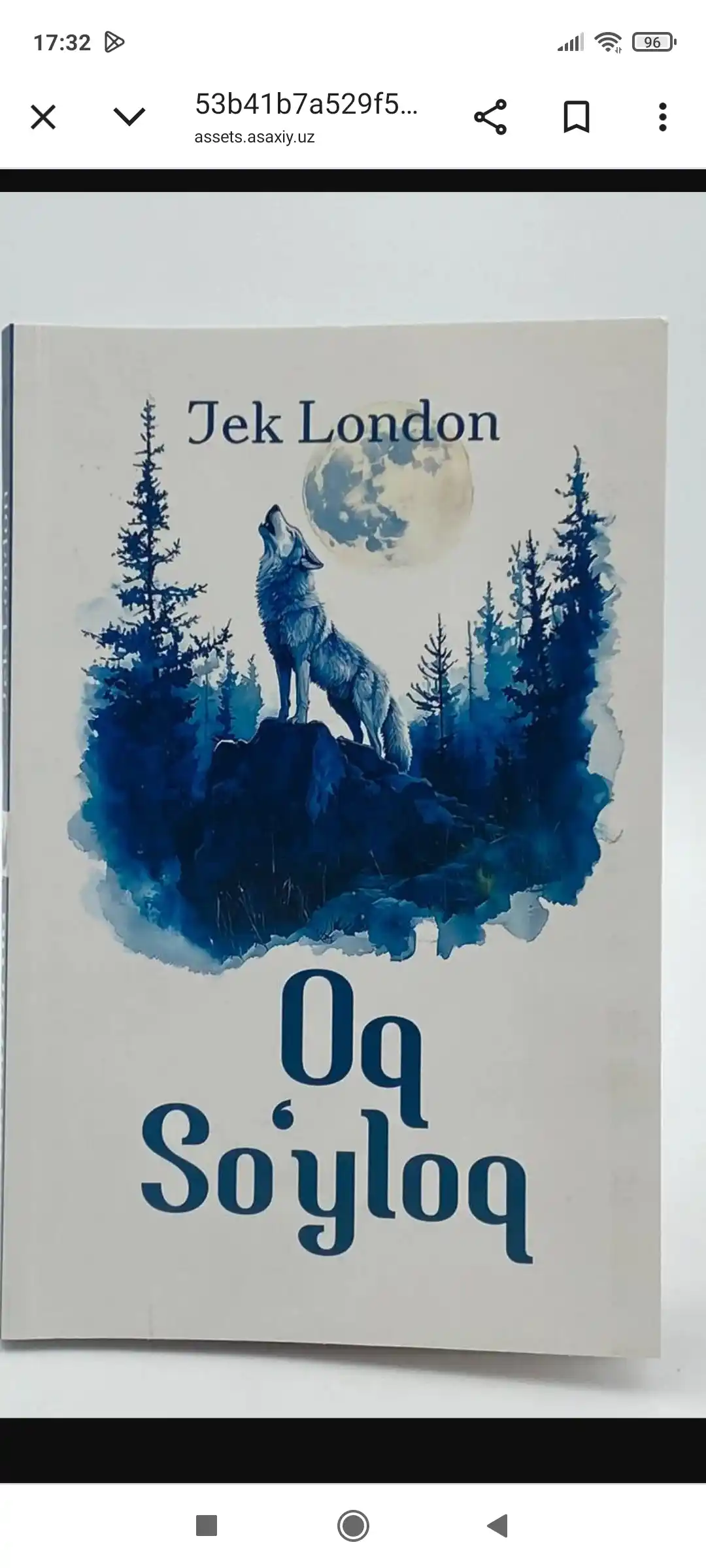 Жек Лондон, Ок сойлок