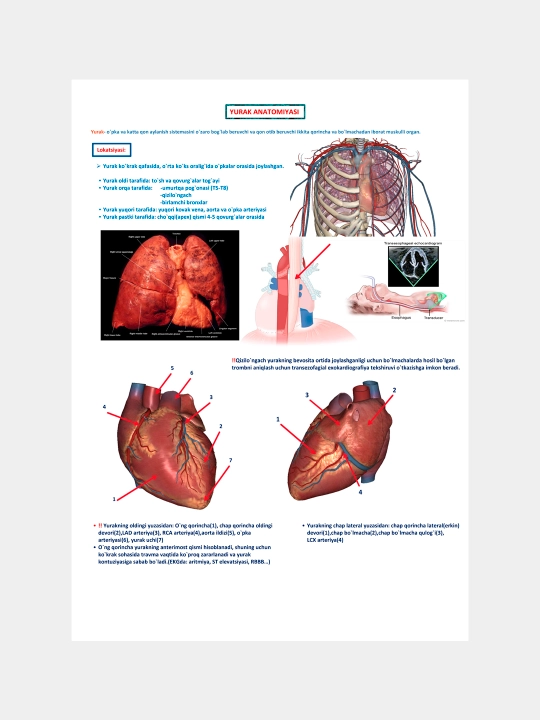 EKG qo‘llanma — M. M. Saminjonov