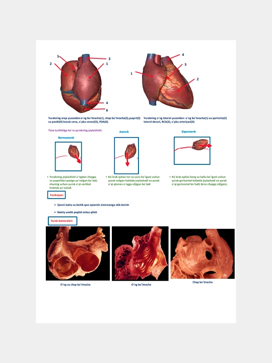 EKG qo‘llanma — M. M. Saminjonov