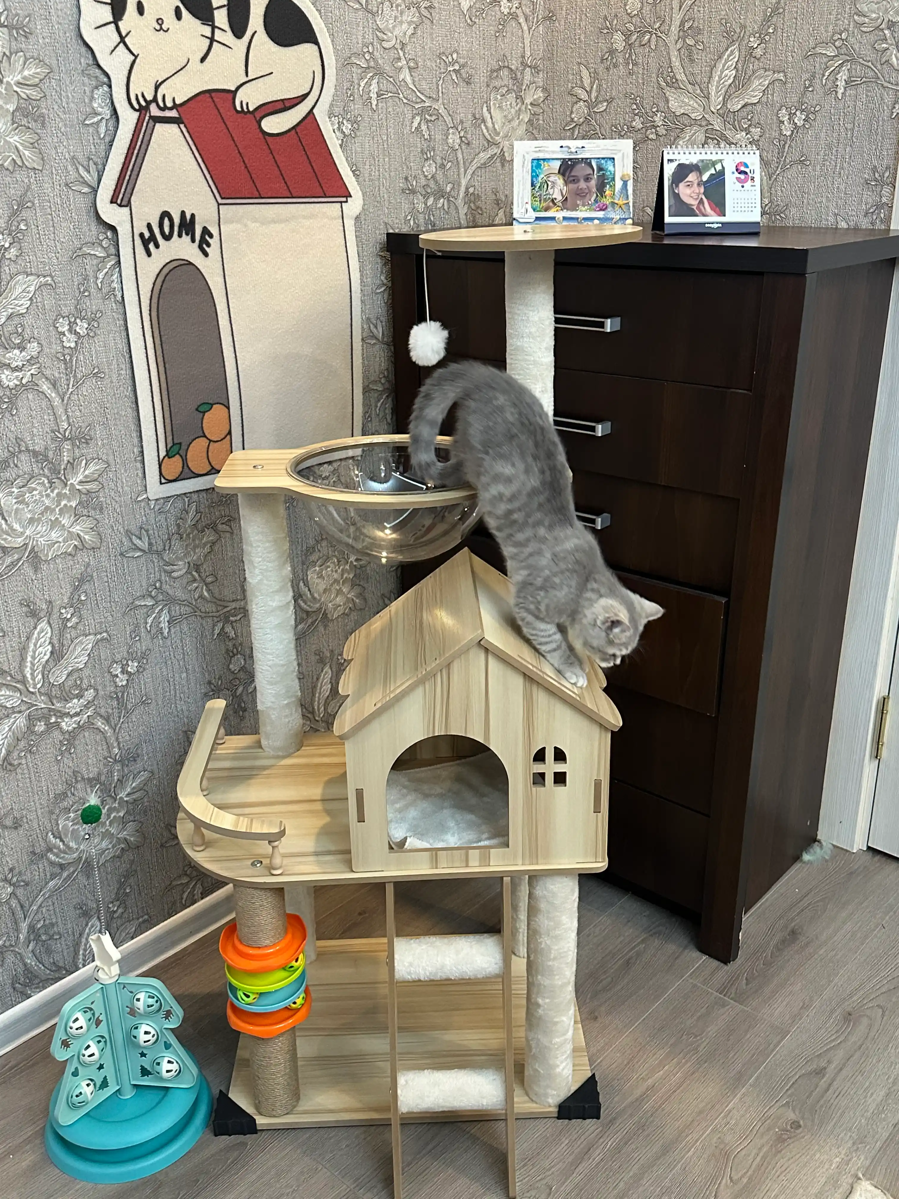 Домик-лежанка для кошек 5-в-1 — игровой комплекс с когтеточкой