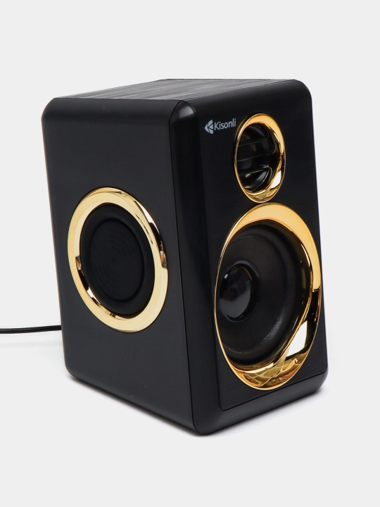Компактные компьютерные колонки Kisonli T-005