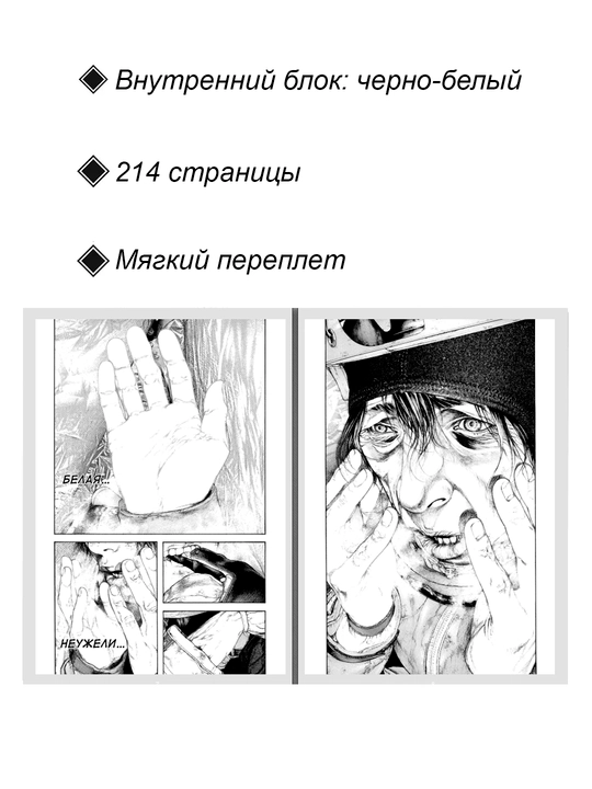Manga Skalolaz, 17 tom