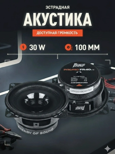 Динамики эстрадные 10 см AMP MASS FR40P40 2 штуки - 