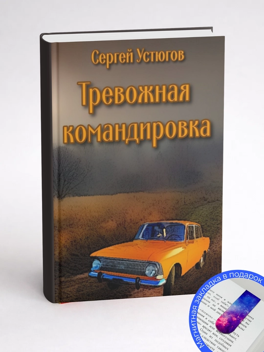 Сергей Устюгов, Тревожная командировка