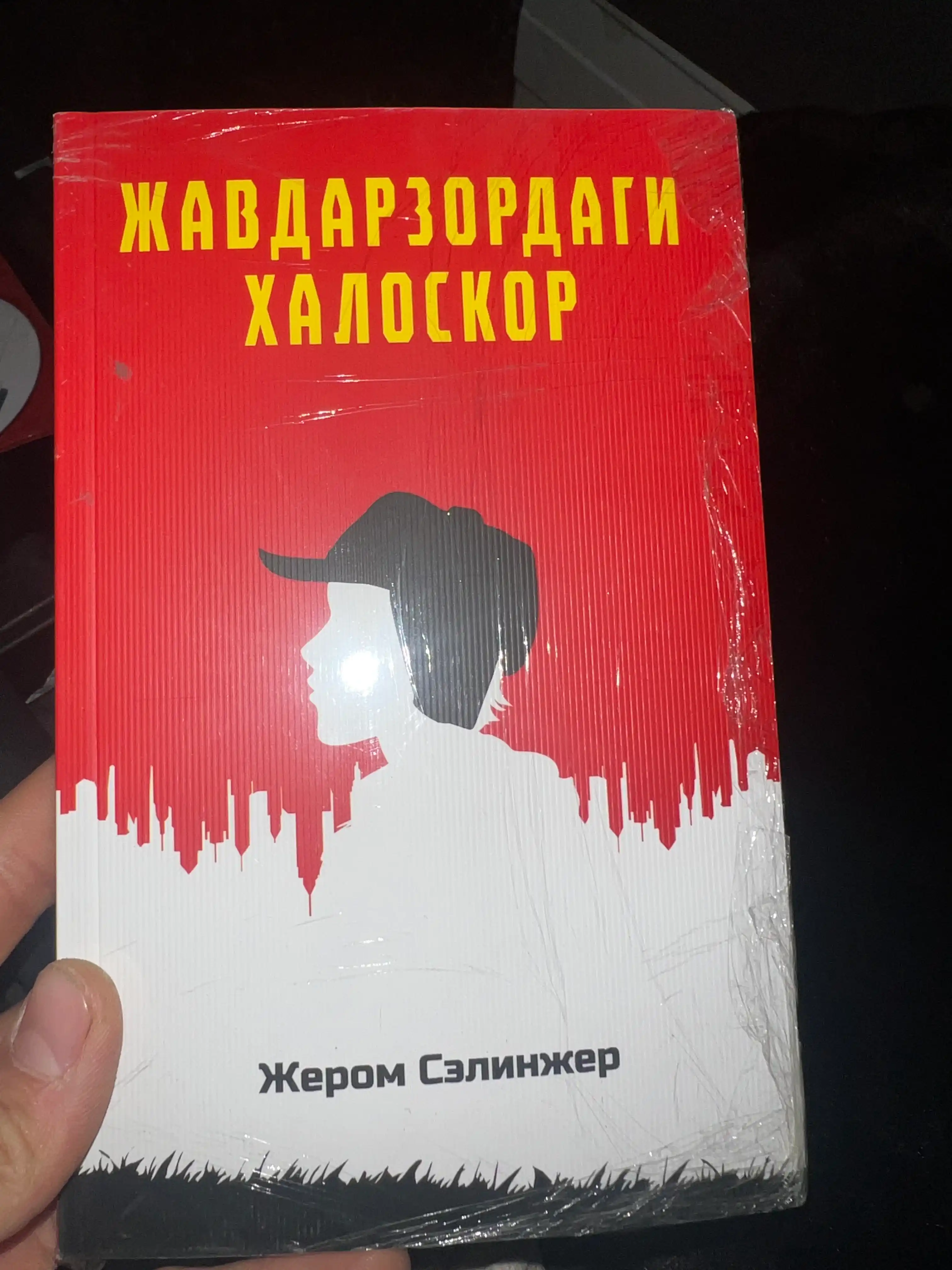 Kitob Jerom Selinjer Javdarzordagi xaloskor, Roman, Klassik adabiyot, Amerika adabiyoti