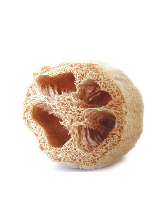 Tabiiy mochalka yetishtirish uchun luffa urug‘i