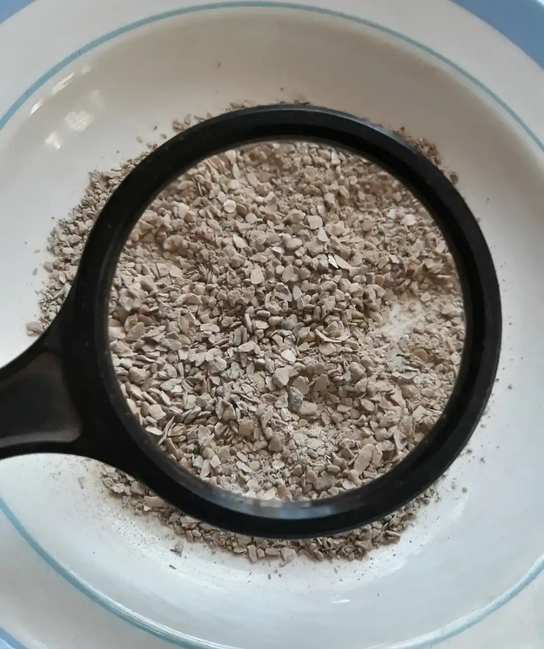 Ракушка кормовая для кур