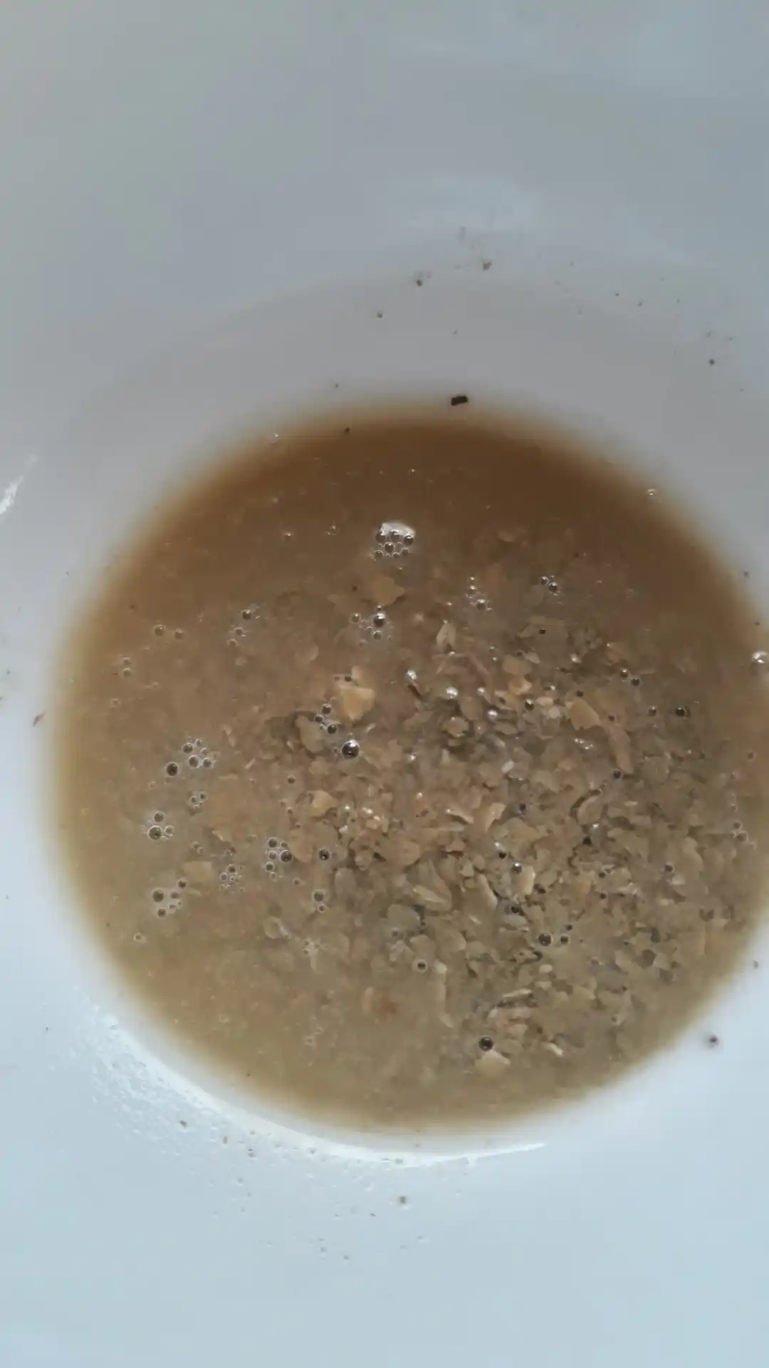 Ракушка кормовая для кур