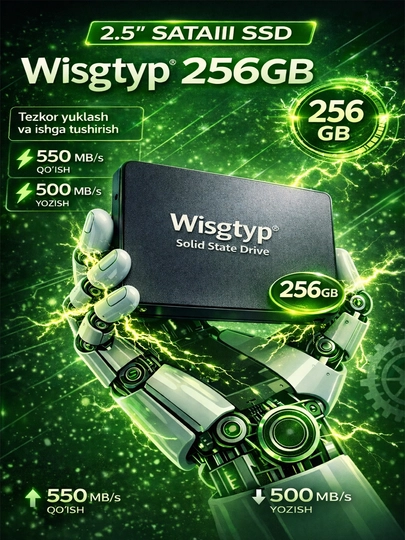 SSD-накопитель Wisgtyp 2.5" SATA III 256GB, для ноутбуков и компьютеров