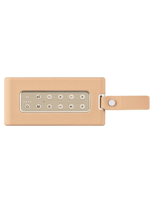 Portativ 2E SoundLegend 80Vt, BT 5.3, TWS, IPX6, RGB, Power Bank, 2 xil rangli karnay