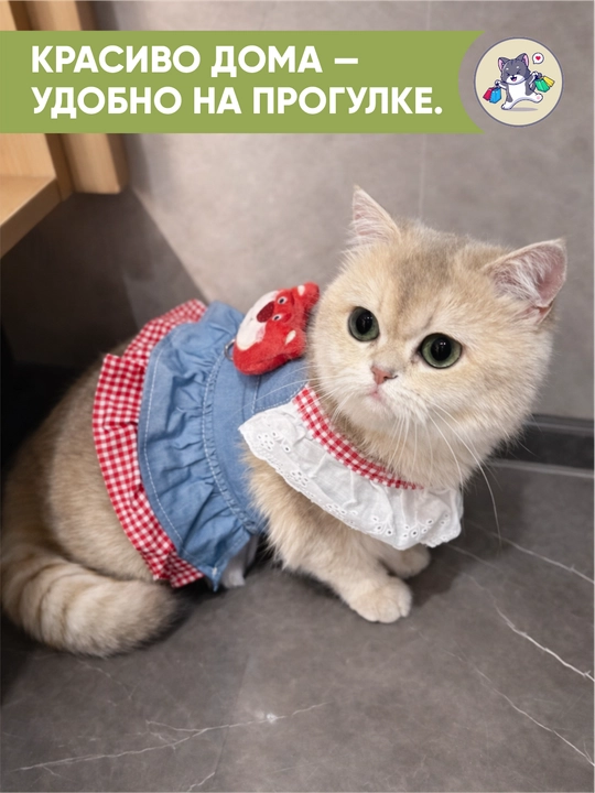 Шлейка для кошек и собак с поводком и платьем, комплект для безопасной прогулки