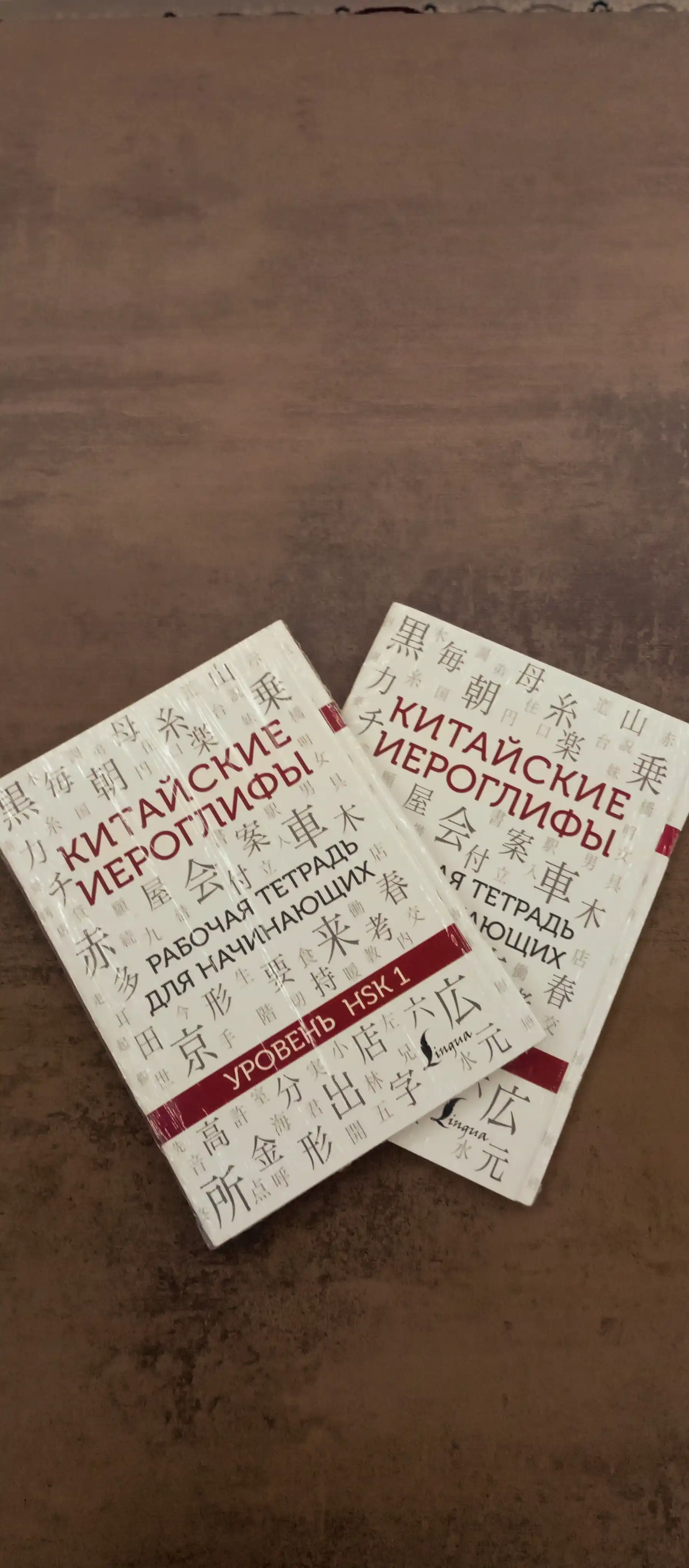 Китайские иероглифы, рабочая тетрадь для начинающих, уровни HSK 1-2, 3-4