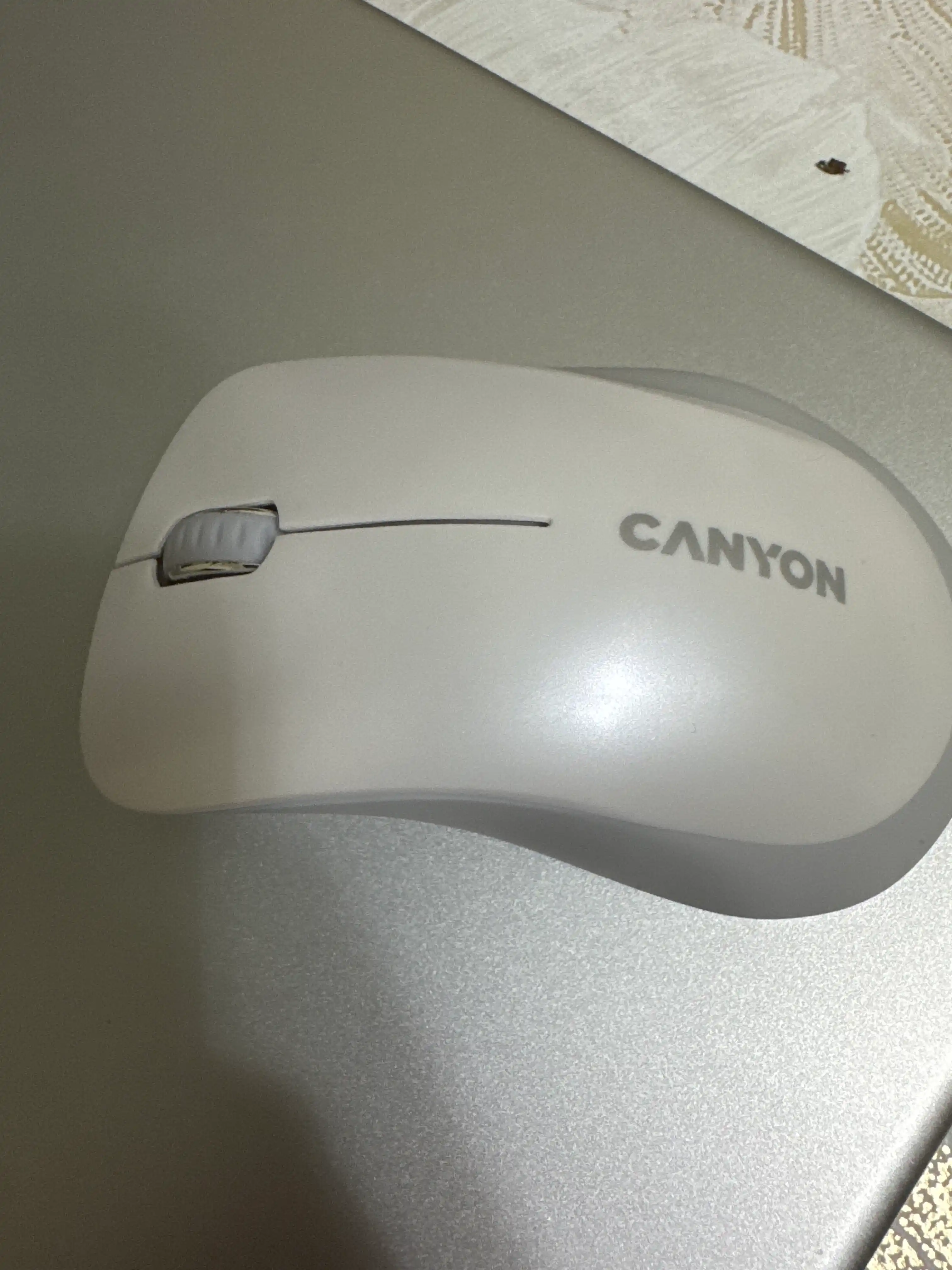 Компьютерная мышь беспроводная CANYON MW-11