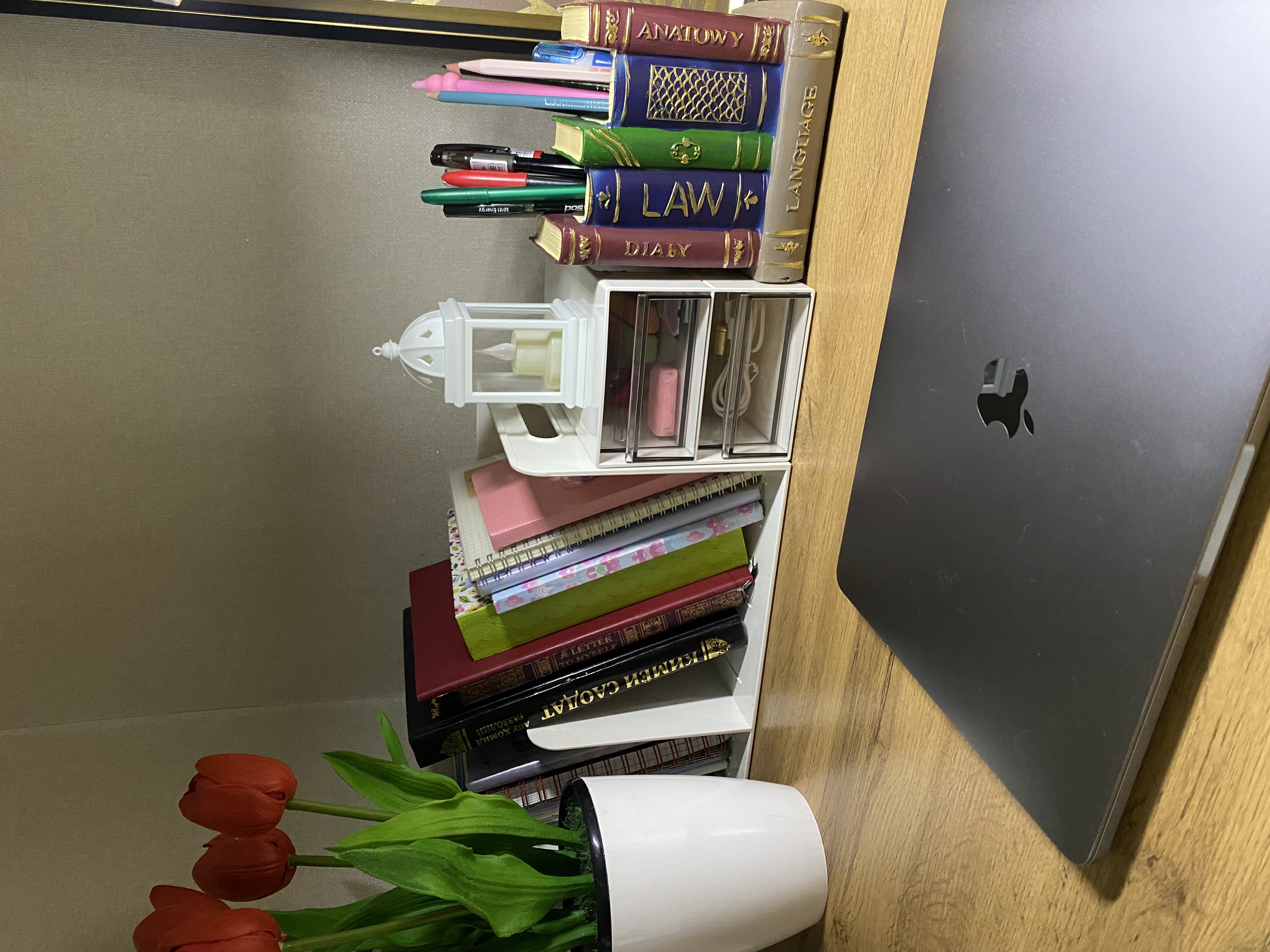 Organayzer + Deli PK110-WHITE kitoblar uchun taglik