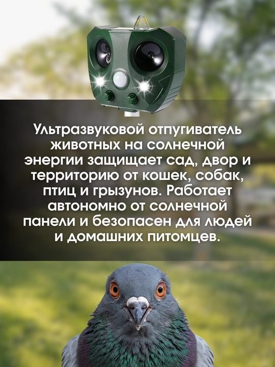 Ultrasonic repeller of birds, animals on solar batteries