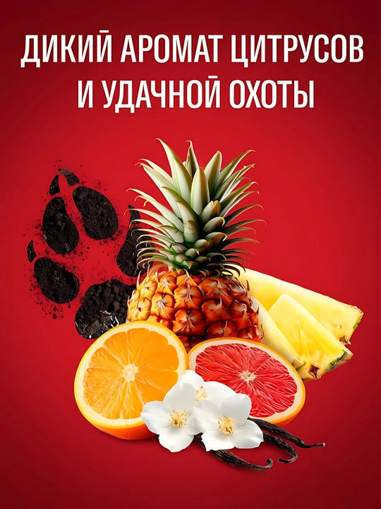 OLD SPICE Dush uchun gel, 3 tasi 1 da, Volfthorn, 400 ml