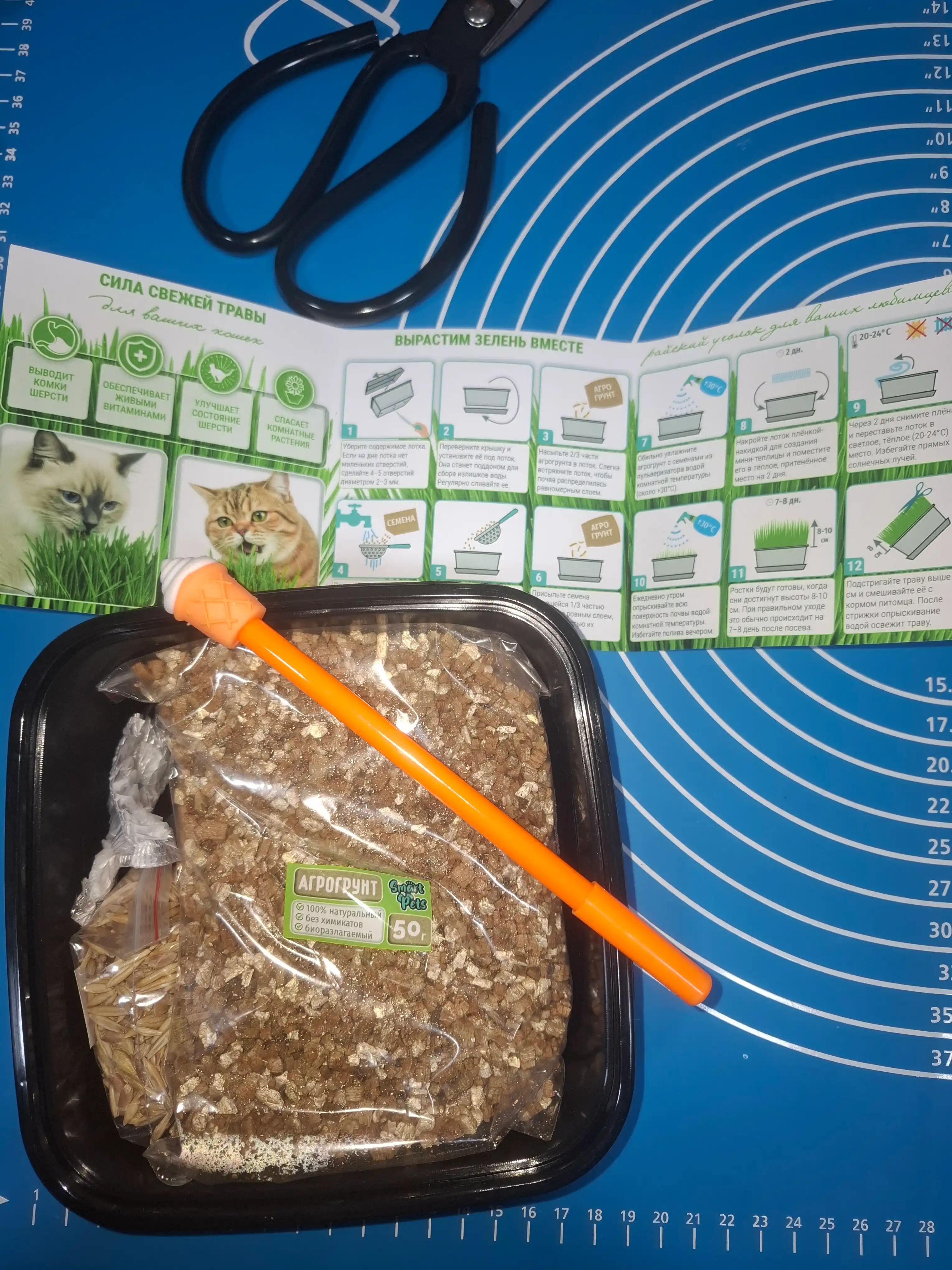 Smart Pets mushuk o'ti – yung g'uddalarini chiqaradi, ko'kat yetishtirish to‘plami, 130 g