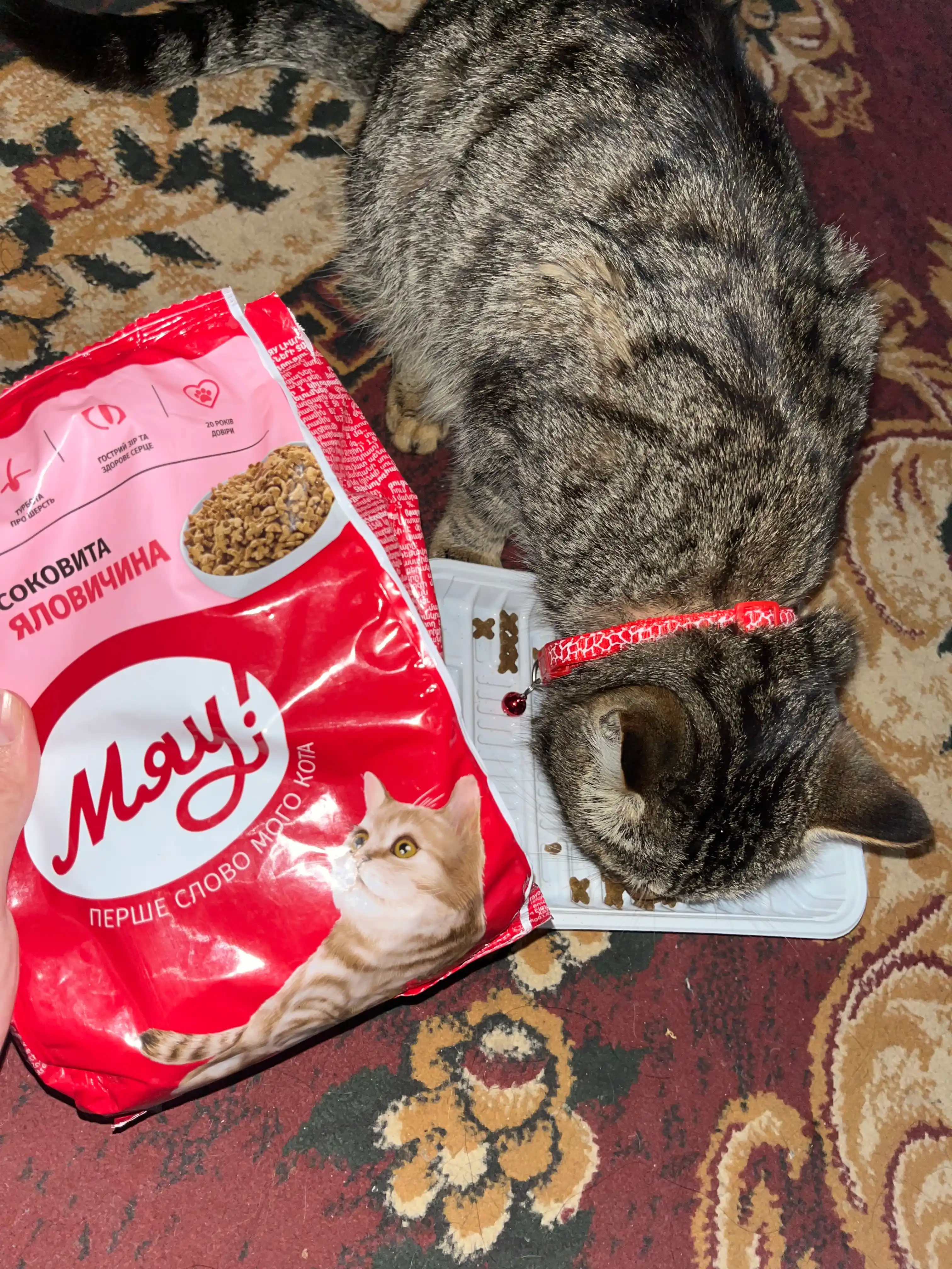 Мяу сухой корм для кошек, с говядиной, 300 г