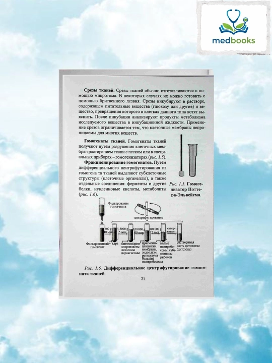 Bioximiya I tom – Sabirova & Yuldashev, Oliy ta’lim darsligi