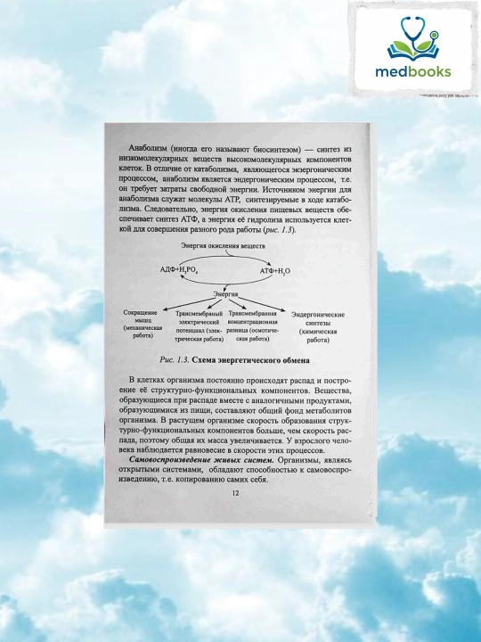 Bioximiya I tom – Sabirova & Yuldashev, Oliy ta’lim darsligi