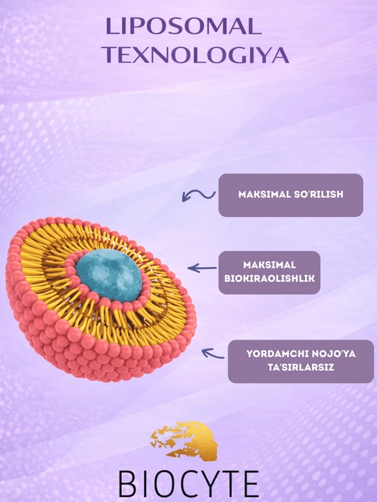 Цинк Biocyte 60 капсул