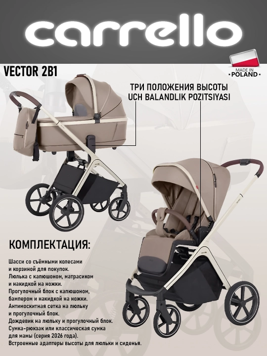 Детская коляска Carrello 2 в 1, модель Vector
