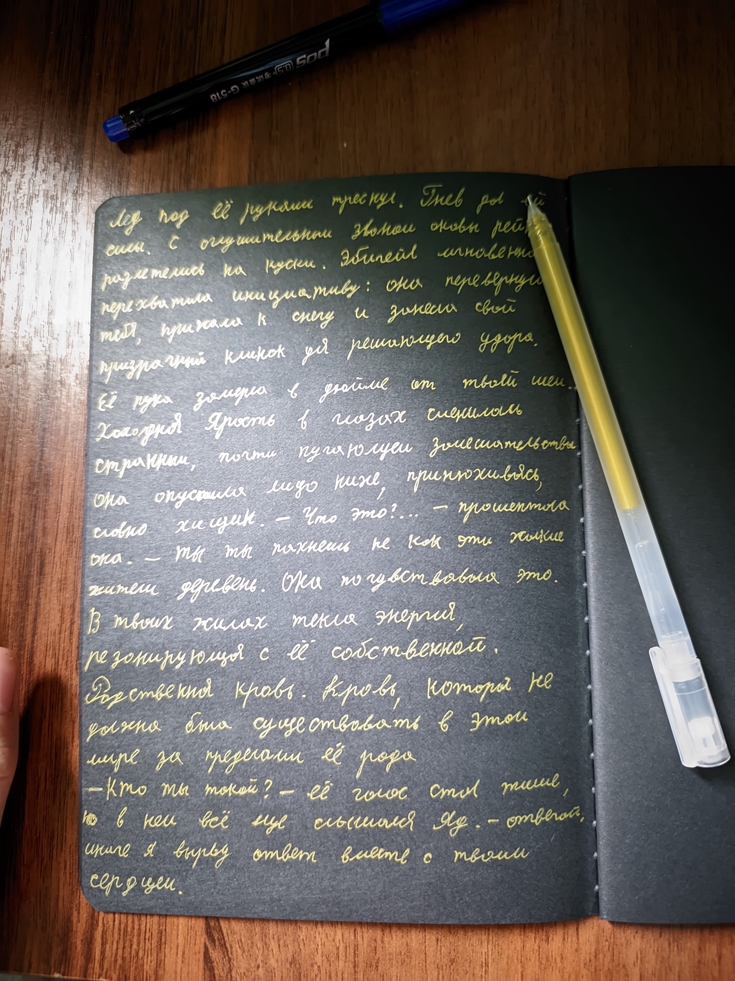 Qora sketchbuk, oq va tilla ruchkasi bilan birga, sketchbuk