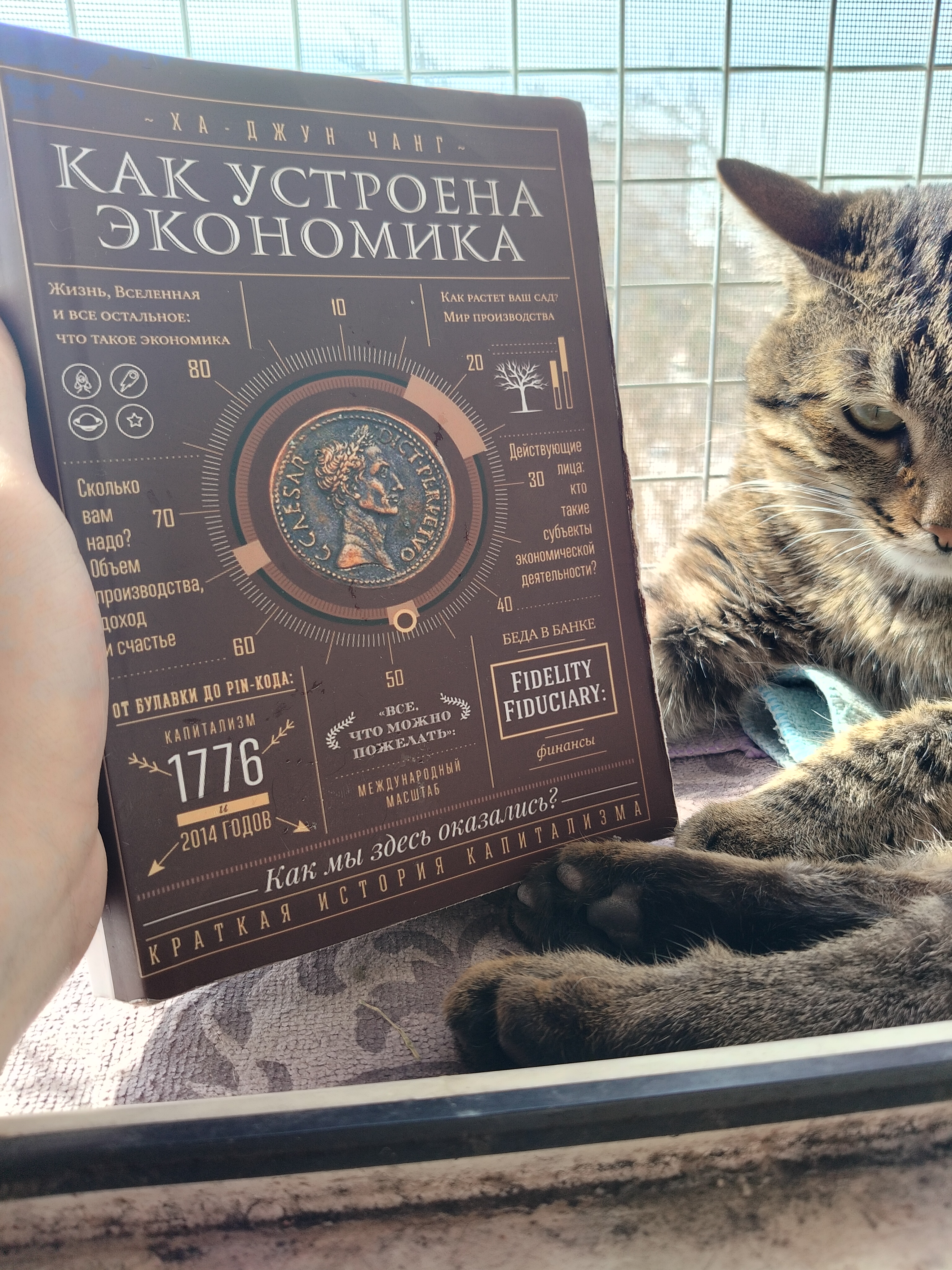 Как устроена экономика