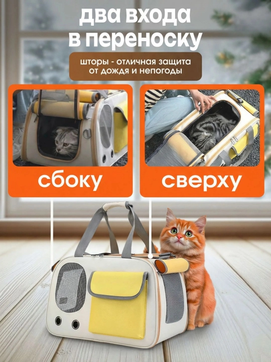 Mushuk va it tashuvchisi, uy hayvonlari va kemiruvchilar sumkasi