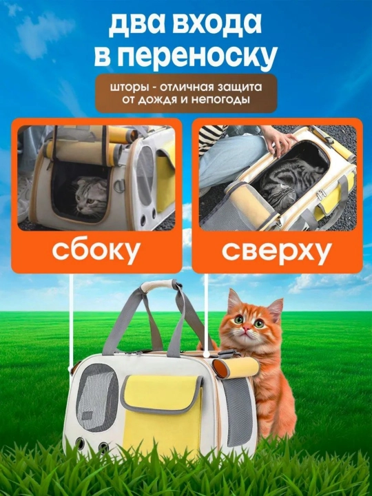 Mushuk va it tashuvchisi, uy hayvonlari va kemiruvchilar sumkasi
