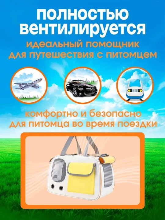 Mushuk va it tashuvchisi, uy hayvonlari va kemiruvchilar sumkasi