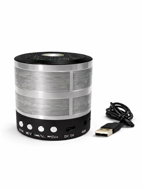 WS-887 portativ karnay (mini-karnay) - 