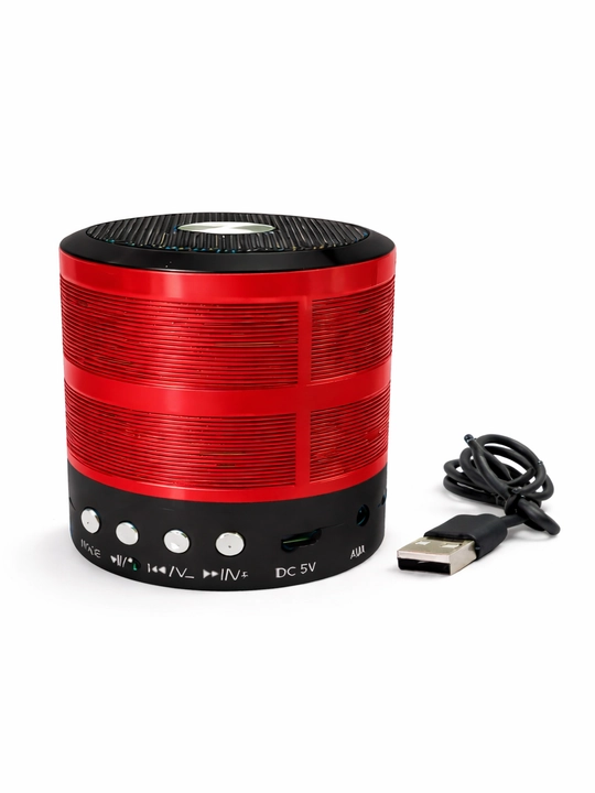 WS-887 portativ karnay (mini-karnay) - 