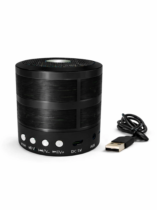 WS-887 portativ karnay (mini-karnay) - 