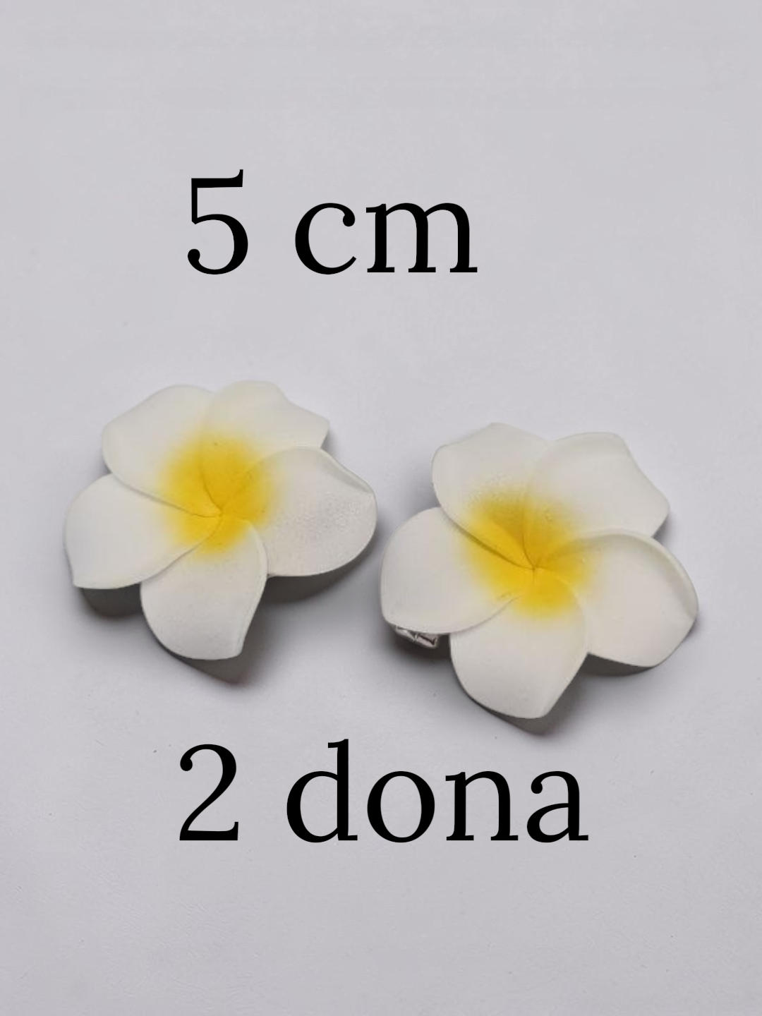 Soch qisqichi, gavayi uslubidagi gul, nevidimka, zakolka - 