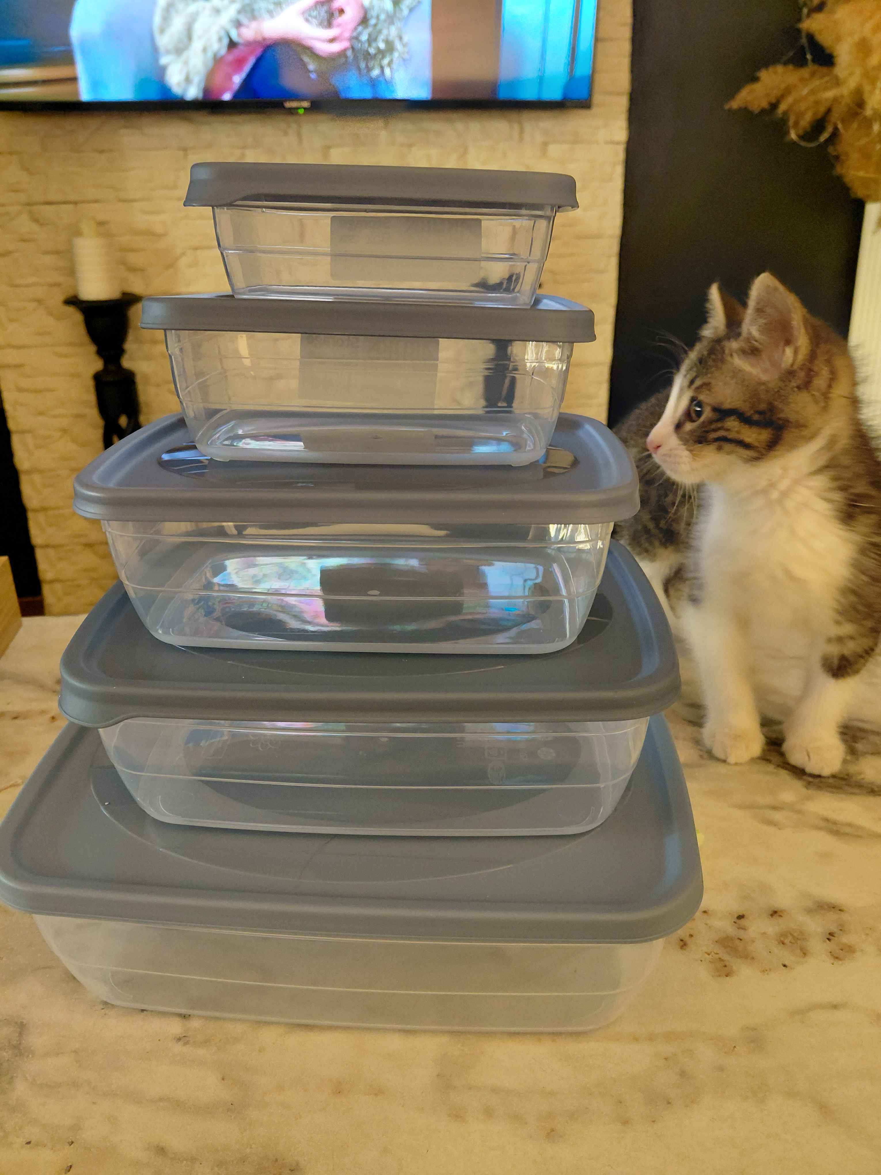 Набор контейнеров, с крышкой, пластиковый контейнер AKUKA, Zi Store