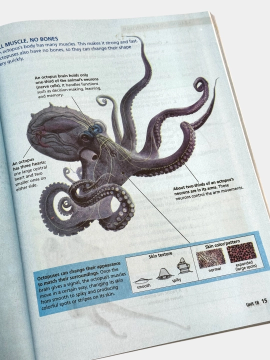 Reading Explorer 1,2 Third Edition