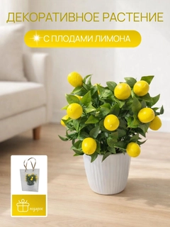 Limon rang