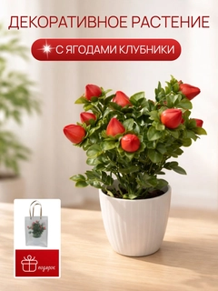 Fuksiya