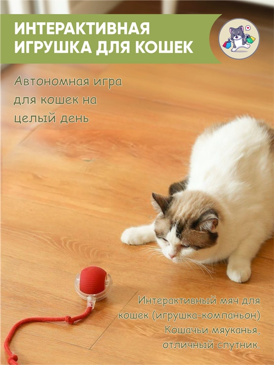 Игрушка для кошек интерактивная, умный мячик с хвостиком, дразнилка для котят
